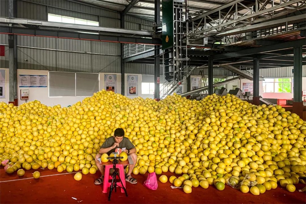 &#20339;&#21338;&#23448;&#26041;&#32593;&#31449;&#95;&#20339;&#21338;&#106;&#105;&#97;&#98;&#111;&#40;&#20013;&#22269;&#41;